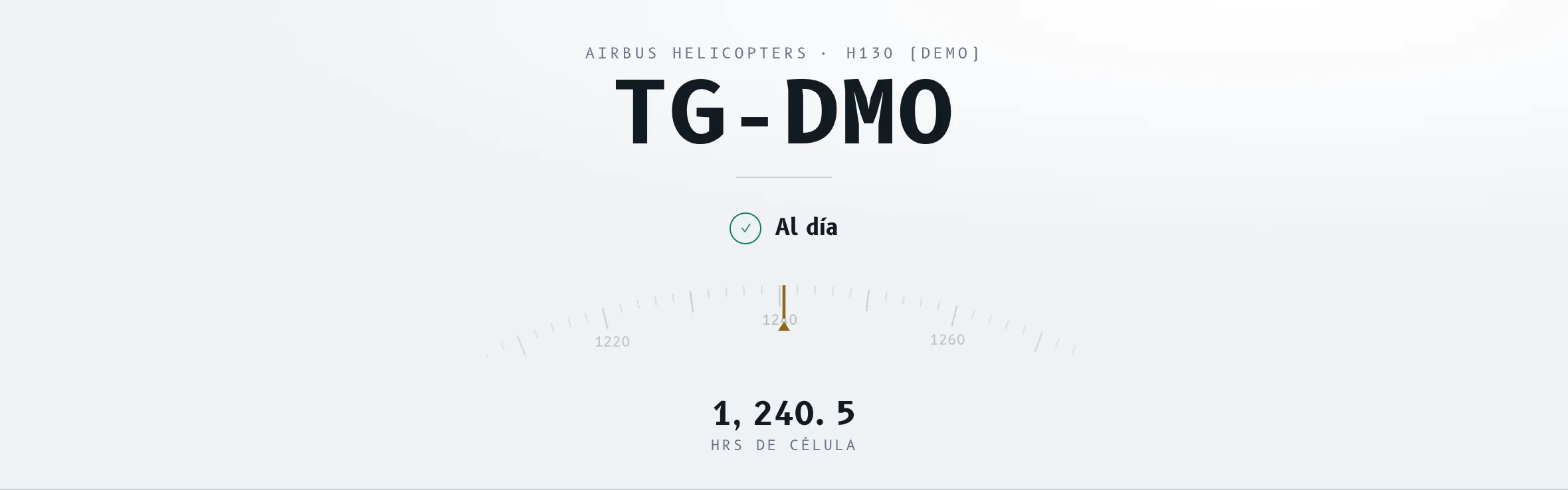 Owner portal demo: fictional aircraft TG-DMO, status up to date and airframe-hours tape