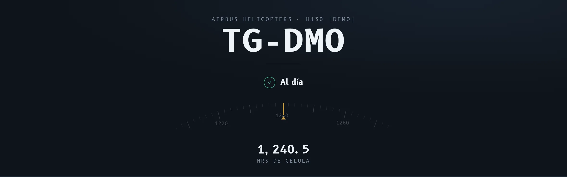 Owner portal demo: fictional aircraft TG-DMO, status up to date and airframe-hours tape